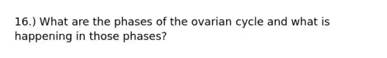 16.) What are the phases of the ovarian cycle and what is happening in those phases?