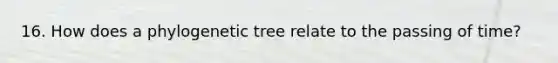 16. How does a phylogenetic tree relate to the passing of time?