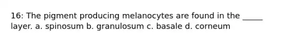 16: The pigment producing melanocytes are found in the _____ layer. a. spinosum b. granulosum c. basale d. corneum