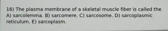 16) The plasma membrane of a skeletal muscle fiber is called the A) sarcolemma. B) sarcomere. C) sarcosome. D) sarcoplasmic reticulum. E) sarcoplasm.