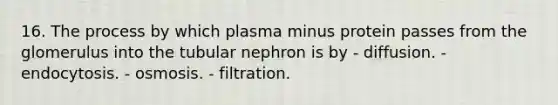 16. The process by which plasma minus protein passes from the glomerulus into the tubular nephron is by - diffusion. - endocytosis. - osmosis. - filtration.