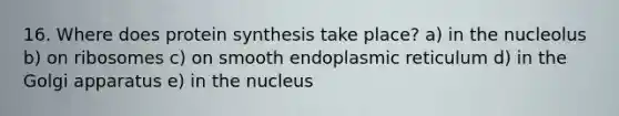 16. Where does protein synthesis take place? a) in the nucleolus b) on ribosomes c) on smooth endoplasmic reticulum d) in the Golgi apparatus e) in the nucleus