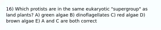 16) Which protists are in the same eukaryotic "supergroup" as land plants? A) green algae B) dinoflagellates C) red algae D) brown algae E) A and C are both correct