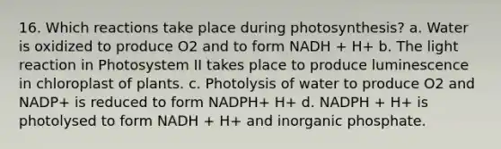 16. Which reactions take place during photosynthesis? a. Water is oxidized to produce O2 and to form NADH + H+ b. The light reaction in Photosystem II takes place to produce luminescence in chloroplast of plants. c. Photolysis of water to produce O2 and NADP+ is reduced to form NADPH+ H+ d. NADPH + H+ is photolysed to form NADH + H+ and inorganic phosphate.