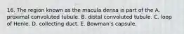 16. The region known as the macula densa is part of the A. proximal convoluted tubule. B. distal convoluted tubule. C. loop of Henle. D. collecting duct. E. Bowman's capsule.