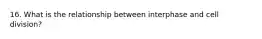 16. What is the relationship between interphase and cell division?