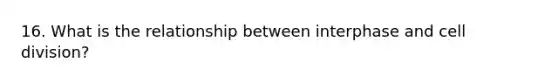 16. What is the relationship between interphase and cell division?