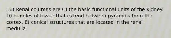 16) Renal columns are C) the basic functional units of the kidney. D) bundles of tissue that extend between pyramids from the cortex. E) conical structures that are located in the renal medulla.