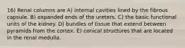 16) Renal columns are A) internal cavities lined by the fibrous capsule. B) expanded ends of the ureters. C) the basic functional units of the kidney. D) bundles of tissue that extend between pyramids from the cortex. E) conical structures that are located in the renal medulla.