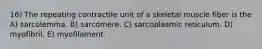 16) The repeating contractile unit of a skeletal muscle fiber is the A) sarcolemma. B) sarcomere. C) sarcoplasmic reticulum. D) myofibril. E) myofilament.