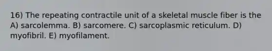 16) The repeating contractile unit of a skeletal muscle fiber is the A) sarcolemma. B) sarcomere. C) sarcoplasmic reticulum. D) myofibril. E) myofilament.