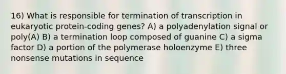 16) What is responsible for termination of transcription in eukaryotic protein-coding genes? A) a polyadenylation signal or poly(A) B) a termination loop composed of guanine C) a sigma factor D) a portion of the polymerase holoenzyme E) three nonsense mutations in sequence