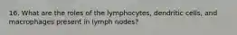 16. What are the roles of the lymphocytes, dendritic cells, and macrophages present in lymph nodes?