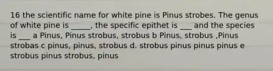 16 the scientific name for white pine is Pinus strobes. The genus of white pine is _____, the specific epithet is ___ and the species is ___ a Pinus, Pinus strobus, strobus b Pinus, strobus ,Pinus strobas c pinus, pinus, strobus d. strobus pinus pinus pinus e strobus pinus strobus, pinus