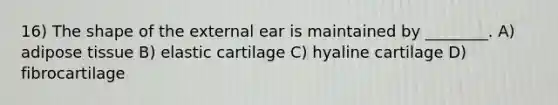 16) The shape of the external ear is maintained by ________. A) adipose tissue B) elastic cartilage C) hyaline cartilage D) fibrocartilage