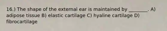 16.) The shape of the external ear is maintained by ________. A) adipose tissue B) elastic cartilage C) hyaline cartilage D) fibrocartilage