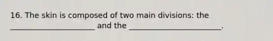 16. The skin is composed of two main divisions: the ______________________ and the ________________________.