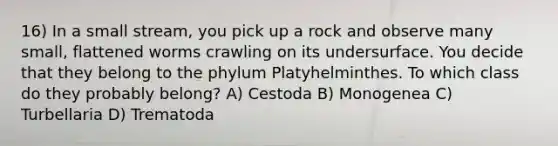 16) In a small stream, you pick up a rock and observe many small, flattened worms crawling on its undersurface. You decide that they belong to the phylum Platyhelminthes. To which class do they probably belong? A) Cestoda B) Monogenea C) Turbellaria D) Trematoda