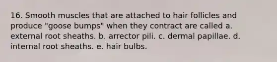 16. Smooth muscles that are attached to hair follicles and produce "goose bumps" when they contract are called a. external root sheaths. b. arrector pili. c. dermal papillae. d. internal root sheaths. e. hair bulbs.