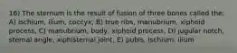 16) The sternum is the result of fusion of three bones called the: A) ischium, ilium, coccyx, B) true ribs, manubrium, xiphoid process, C) manubrium, body, xiphoid process, D) jugular notch, sternal angle, xiphisternal joint, E) pubis, ischium, ilium