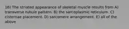 16) The striated appearance of skeletal muscle results from A) transverse tubule pattern. B) the sarcoplasmic reticulum. C) cisternae placement. D) sarcomere arrangement. E) all of the above