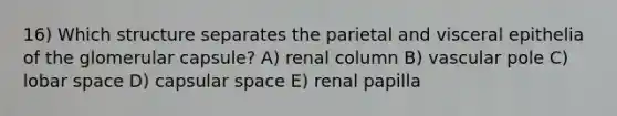 16) Which structure separates the parietal and visceral epithelia of the glomerular capsule? A) renal column B) vascular pole C) lobar space D) capsular space E) renal papilla