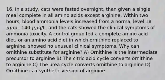 16. In a study, cats were fasted overnight, then given a single meal complete in all amino acids except arginine. Within two hours, blood ammonia levels increased from a normal level 18 𝜇𝜇g/L 140 𝜇𝜇g/L, and the cats showed the clinical symptoms of ammonia toxicity. A control group fed a complete amino acid diet, or an amino acid diet in which ornithine replaced to arginine, showed no unusual clinical symptoms. Why can ornithine substitute for arginine? A) Ornithine is the intermediate precursor to arginine B) The citric acid cycle converts ornithine to arginine C) The urea cycle converts ornithine to arginine D) Ornithine is a synthetic version of arginine