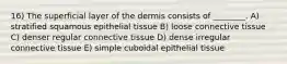 16) The superficial layer of the dermis consists of ________. A) stratified squamous epithelial tissue B) loose connective tissue C) denser regular connective tissue D) dense irregular connective tissue E) simple cuboidal epithelial tissue