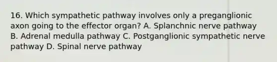 16. Which sympathetic pathway involves only a preganglionic axon going to the effector organ? A. Splanchnic nerve pathway B. Adrenal medulla pathway C. Postganglionic sympathetic nerve pathway D. Spinal nerve pathway