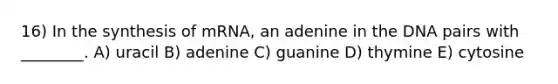 16) In the synthesis of mRNA, an adenine in the DNA pairs with ________. A) uracil B) adenine C) guanine D) thymine E) cytosine