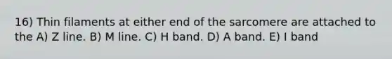 16) Thin filaments at either end of the sarcomere are attached to the A) Z line. B) M line. C) H band. D) A band. E) I band