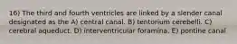 16) The third and fourth ventricles are linked by a slender canal designated as the A) central canal. B) tentorium cerebelli. C) cerebral aqueduct. D) interventricular foramina. E) pontine canal