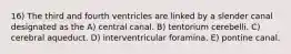 16) The third and fourth ventricles are linked by a slender canal designated as the A) central canal. B) tentorium cerebelli. C) cerebral aqueduct. D) interventricular foramina. E) pontine canal.