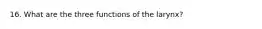 16. What are the three functions of the larynx?