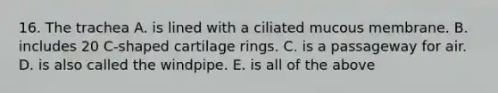 16. The trachea A. is lined with a ciliated mucous membrane. B. includes 20 C-shaped cartilage rings. C. is a passageway for air. D. is also called the windpipe. E. is all of the above