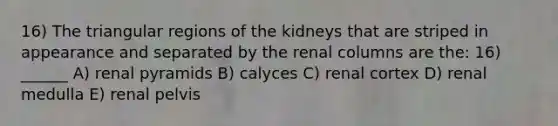 16) The triangular regions of the kidneys that are striped in appearance and separated by the renal columns are the: 16) ______ A) renal pyramids B) calyces C) renal cortex D) renal medulla E) renal pelvis