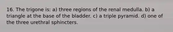 16. The trigone is: a) three regions of the renal medulla. b) a triangle at the base of the bladder. c) a triple pyramid. d) one of the three urethral sphincters.