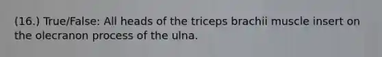 (16.) True/False: All heads of the triceps brachii muscle insert on the olecranon process of the ulna.