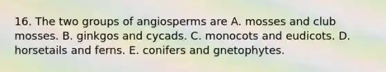 16. The two groups of angiosperms are A. mosses and club mosses. B. ginkgos and cycads. C. monocots and eudicots. D. horsetails and ferns. E. conifers and gnetophytes.