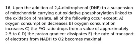 16. Upon the addition of 2,4-dinitrophenol (DNP) to a suspension of mitochondria carrying out oxidative phosphorylation linked to the oxidation of malate, all of the following occur except: A) oxygen consumption decreases B) oxygen consumption increases C) the P/O ratio drops from a value of approximately 2.5 to 0 D) the proton gradient dissipates E) the rate of transport of electrons from NADH to O2 becomes maximal