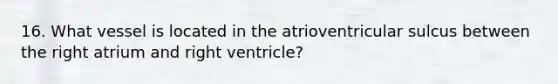 16. What vessel is located in the atrioventricular sulcus between the right atrium and right ventricle?