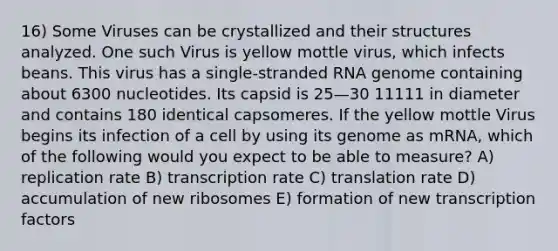 16) Some Viruses can be crystallized and their structures analyzed. One such Virus is yellow mottle virus, which infects beans. This virus has a single-stranded RNA genome containing about 6300 nucleotides. Its capsid is 25—30 11111 in diameter and contains 180 identical capsomeres. If the yellow mottle Virus begins its infection of a cell by using its genome as mRNA, which of the following would you expect to be able to measure? A) replication rate B) transcription rate C) translation rate D) accumulation of new ribosomes E) formation of new transcription factors