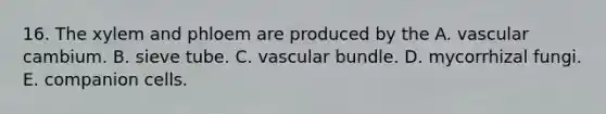 16. The xylem and phloem are produced by the A. vascular cambium. B. sieve tube. C. vascular bundle. D. mycorrhizal fungi. E. companion cells.