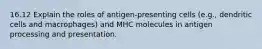 16.12 Explain the roles of antigen-presenting cells (e.g., dendritic cells and macrophages) and MHC molecules in antigen processing and presentation.