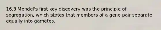 16.3 Mendel's first key discovery was the principle of segregation, which states that members of a gene pair separate equally into gametes.