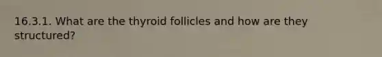 16.3.1. What are the thyroid follicles and how are they structured?
