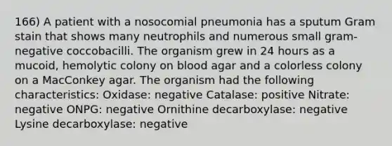 166) A patient with a nosocomial pneumonia has a sputum Gram stain that shows many neutrophils and numerous small gram-negative coccobacilli. The organism grew in 24 hours as a mucoid, hemolytic colony on blood agar and a colorless colony on a MacConkey agar. The organism had the following characteristics: Oxidase: negative Catalase: positive Nitrate: negative ONPG: negative Ornithine decarboxylase: negative Lysine decarboxylase: negative