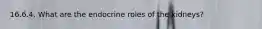 16.6.4. What are the endocrine roles of the kidneys?