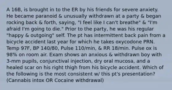 A 16B, is brought in to the ER by his friends for severe anxiety. He became paranoid & unusually withdrawn at a party & began rocking back & forth, saying, "I feel like I can't breathe" & "I'm afraid I'm going to die." Prior to the party, he was his regular "happy & outgoing" self. The pt has intermittent back pain from a bicycle accident last year for which he takes oxycodone PRN. Temp 97F, BP 140/80, Pulse 110/min, & RR 18/min. Pulse ox is 98% on room air. Exam shows an anxious & withdrawn boy with 3-mm pupils, conjunctival injection, dry oral mucosa, and a healed scar on his right thigh from his bicycle accident. Which of the following is the most consistent w/ this pt's presentation? (Cannabis intox OR Cocaine withdrawal)