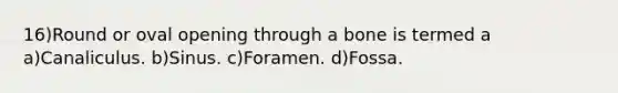 16)Round or oval opening through a bone is termed a a)Canaliculus. b)Sinus. c)Foramen. d)Fossa.